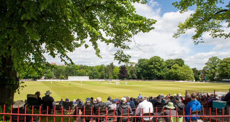 Festival of Cricket 873x466 2