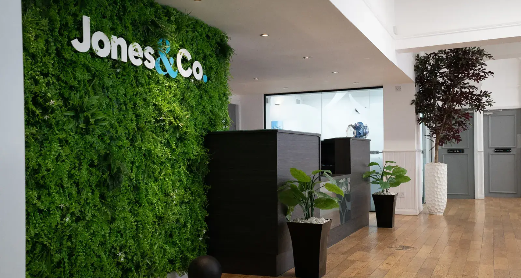 A live feature wall with greenery displaying the text 'jones & co'