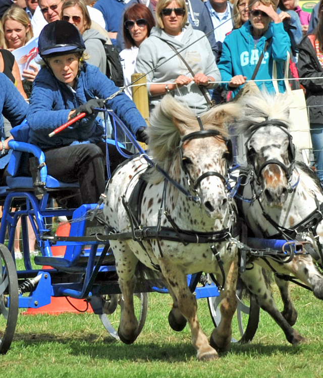 Dodson & Horrell Chatsworth International Horse Trials