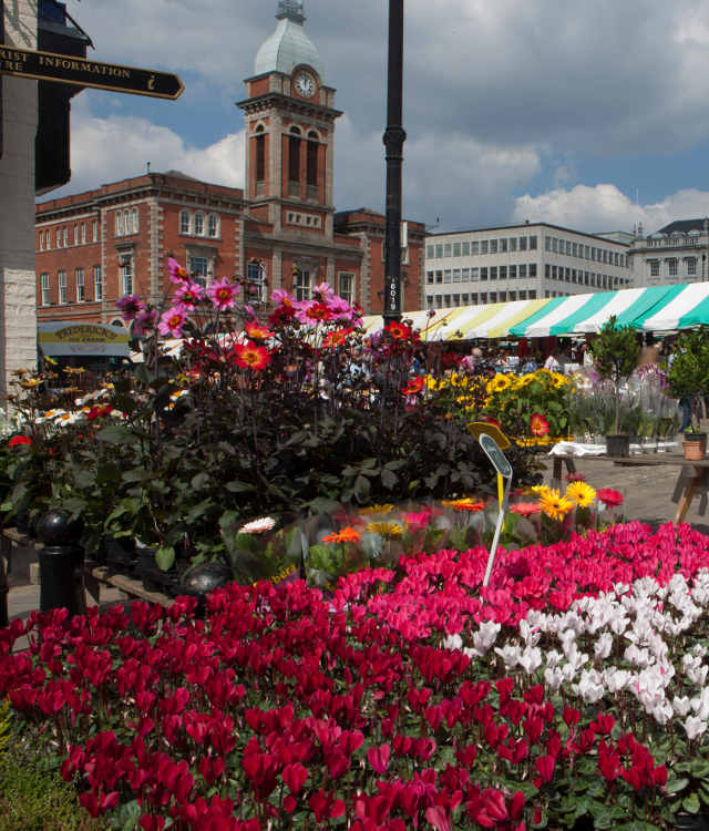 Chesterfield in Bloom