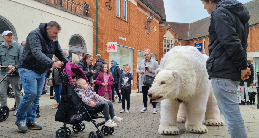 Snowy the Polar Bear at Vicar Lane