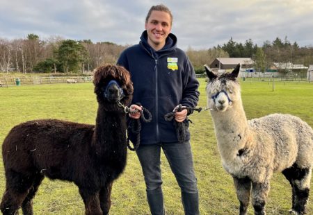 Josh Matlock at Grown-ups Farm Park