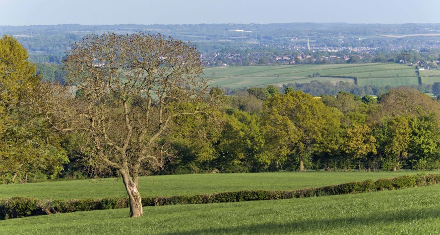 Chesterfield from Eastmoor