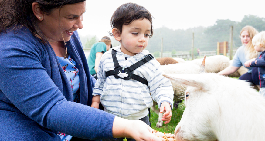 Mum and son feeding a goat at Matlock Farm Park