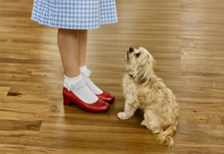 The wizard of oz COS