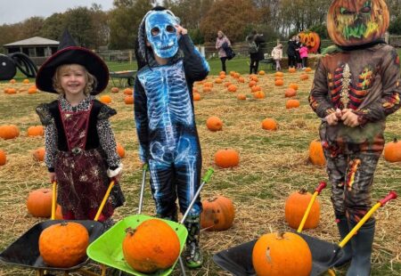 Kids dressed up at Matlock Farm Park at pumpkin patch