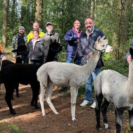 Group session for alpaca trekking at Matlock Farm Park