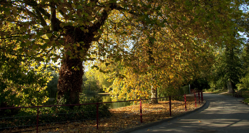 Queens Park autumn