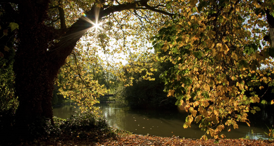 Queens park autumn