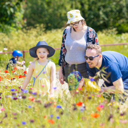 Queens park family outdoors